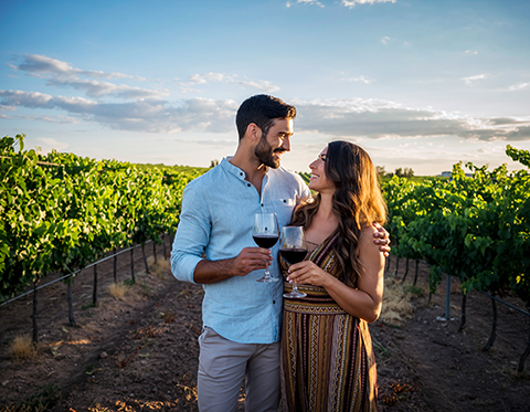 Arizona Wine Tasting